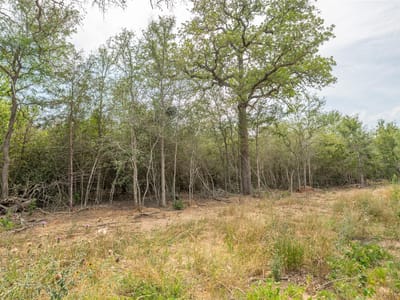 Primary bedroom at 926 Ferguson Loop - Cool Water Acres, Dale, TX
