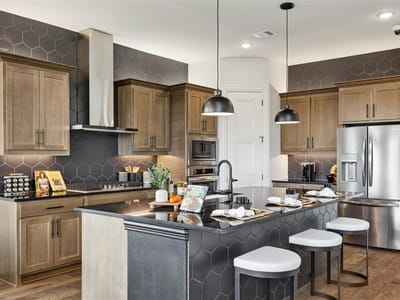 Kitchen at 933 Landing LN - 6 bed 4 bath home