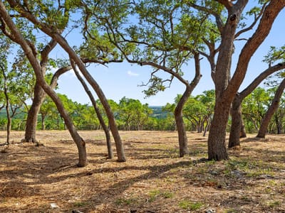 Bathroom at 9475 FM 32, Lot 15 - Ranches at Canyon Crossing, Fischer, TX