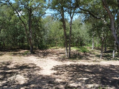 Property photo 4 at 959 Carter RD - Gideon Pace Surv A-230, Dale, TX
