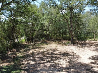 Property photo 5 at 959 Carter RD - Gideon Pace Surv A-230, Dale, TX
