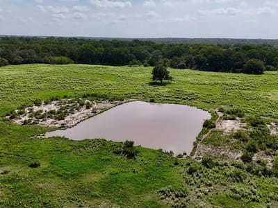 Primary bedroom at 9590 Maynard Hallmark Rd - James Robinson League A-270, Flatonia, TX