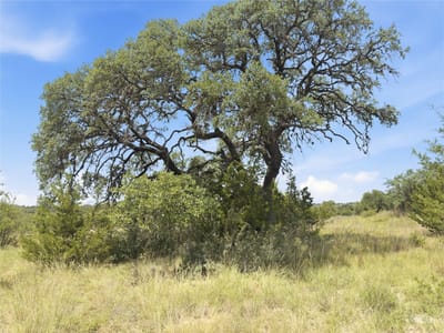Property photo 4 at 963 Summit Ridge Trail DR - The Summit At Cypress Mill, Johnson City, TX