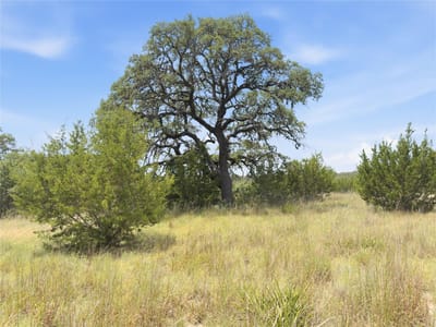 Property photo 5 at 963 Summit Ridge Trail DR - The Summit At Cypress Mill, Johnson City, TX