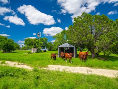 Primary bedroom at 9750 Rm-243 - N/A, Bertram, TX