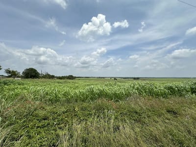 Backyard - 999999 E Main ST Backyard with expansive acreage and agricultural land at 999999 E Main ST - Troy, Troy, TX
