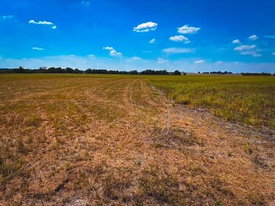 Photo 3 of 12 at CR 3061 lot 2 Highway - Thorndale, Thorndale, TX