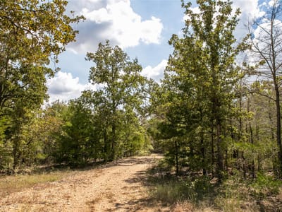 Photo 2 - Tbd FM 180 Photo 2 of 15 at Tbd FM 180 - Ledbetter, Ledbetter, TX