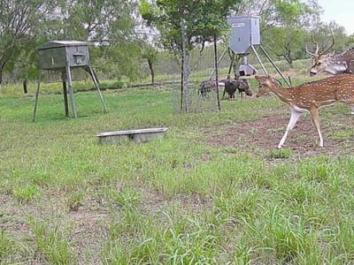 Photo 3 of 14 at FM 2294 FM 2294 - San Isidro, San Isidro, TX