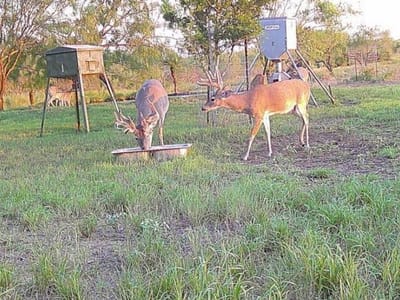 Photo 4 of 14 at FM 2294 FM 2294 - San Isidro, San Isidro, TX