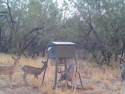 Photo 5 of 14 at FM 2294 FM 2294 - San Isidro, San Isidro, TX