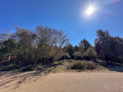 Living area at LOT 1 Alta Vista Dr - Lake Bastrop Acres, Bastrop, TX