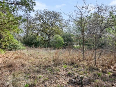 Living area at LOT 1 Indian Oak Dr - Lake Bastrop Acres, Bastrop, TX