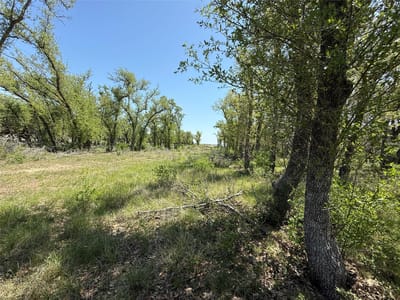 Primary bedroom at Lot 106 E Flying Owl Dr - Legacy Hills, Johnson City, TX