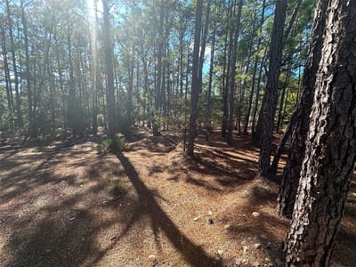 Living area at Lot 11 Hickory Ridge Dr - Pine Forest Unit 6 Ph Ii, Bastrop, TX