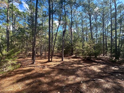 Kitchen at Lot 11 Hickory Ridge Dr - Pine Forest Unit 6 Ph Ii, Bastrop, TX