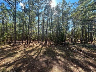Primary bedroom at Lot 11 Hickory Ridge Dr - Pine Forest Unit 6 Ph Ii, Bastrop, TX