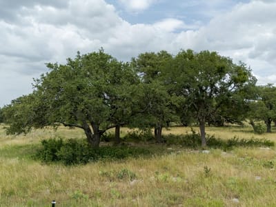 Primary bedroom at Lot 110 Kudu Ct - Ranches At Blackbuck Ridge, Lampasas, TX