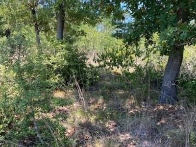 Primary bedroom at Lot 1123 Koali Dr - Tahitian Village,, Bastrop, TX