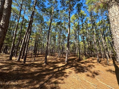 Living area at Lot 12 Hickory Ridge Dr - Pine Forest Unit 6 Ph Ii, Bastrop, TX