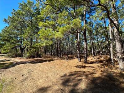 Kitchen at Lot 12 Hickory Ridge Dr - Pine Forest Unit 6 Ph Ii, Bastrop, TX