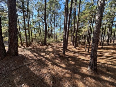 Bathroom at Lot 12 Hickory Ridge Dr - Pine Forest Unit 6 Ph Ii, Bastrop, TX