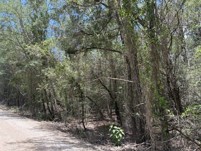 Primary bedroom at Lot 1228 & 1229 Hanauma DR - Tahitian Village, Bastrop, TX
