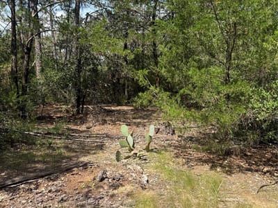 Photo 2 - Lot 1252 TBA Hanauma DR Photo 2 of 11 at Lot 1252 TBA Hanauma DR - Bastrop, Bastrop, TX