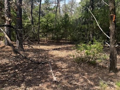 Photo 3 - Lot 1252 TBA Hanauma DR Photo 3 of 11 at Lot 1252 TBA Hanauma DR - Bastrop, Bastrop, TX