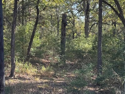 Property photo 3 at Lot 130 Wailupe CIR - Tahitian Village, Bastrop, TX