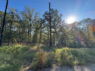 Property photo 5 at Lot 130 Wailupe CIR - Tahitian Village, Bastrop, TX