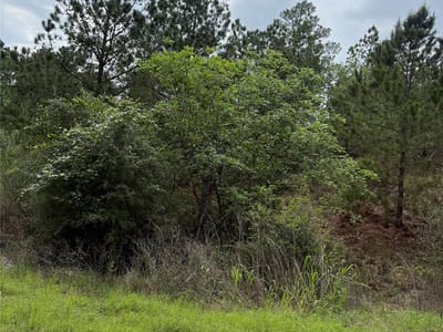 Living area at Lot 1360 N Kuapo Dr - TAHITIAN VILLAGE, Bastrop, TX