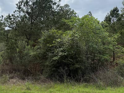 Primary bedroom at Lot 1360 N Kuapo Dr - TAHITIAN VILLAGE, Bastrop, TX