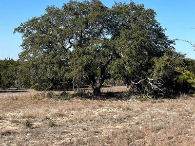 Primary bedroom at Lot 138 High Point DR - River Hills Ranches Ph 2-A Ran, Kempner, TX