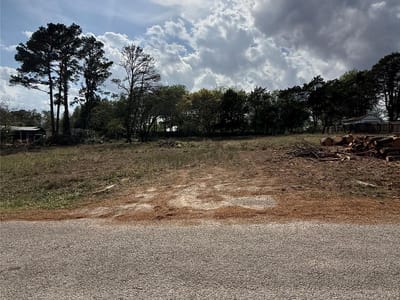 Living area at Lot 141 Pine Song - Lake Bastrop Estates, Bastrop, TX