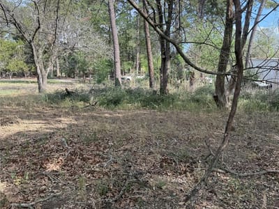 Primary bedroom at Lot 141 Pine Song - Lake Bastrop Estates, Bastrop, TX