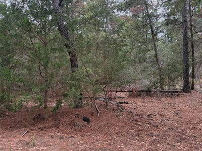Primary bedroom at Lot 1428 Keeau Ct - TAHITIAN VILLAGE, Bastrop, TX
