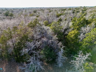 Living area at Lot 15 Antioch RD - Smith, Charles S, Paige, TX