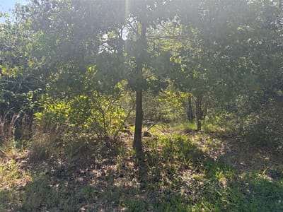 Primary bedroom at Lot 1541 Pahoiki LN - Tahitian Village, Bastrop, TX