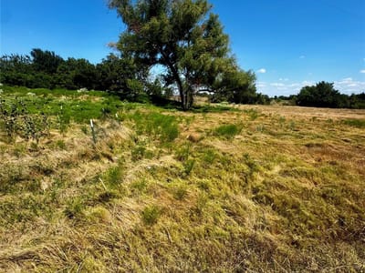 Photo 2 - TBD lot 16 CR 327 Photo 2 of 8 at TBD lot 16 CR 327 - Granger, Granger, TX