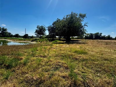 Photo 3 - TBD lot 16 CR 327 Photo 3 of 8 at TBD lot 16 CR 327 - Granger, Granger, TX