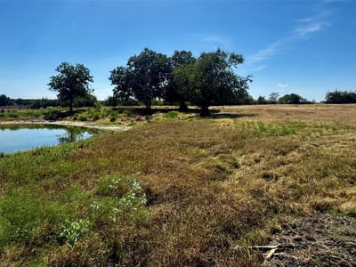 Photo 4 - TBD lot 16 CR 327 Photo 4 of 8 at TBD lot 16 CR 327 - Granger, Granger, TX