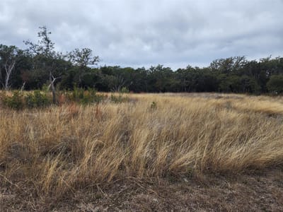 Living area at Lot 162 Addax Ct - Ranches At Blackbuck Ridge, Lampasas, TX