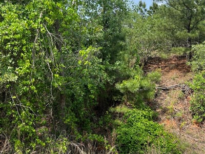 Primary bedroom at Lot 1671 TBD Moku Ct - TAHITIAN VILLAGE, Bastrop, TX