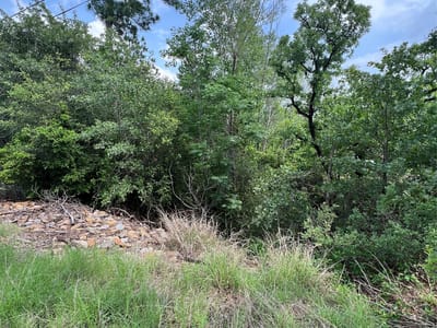 Primary bedroom at Lot 1672 TBD Moku Ct - TAHITIAN VILLAGE, Bastrop, TX