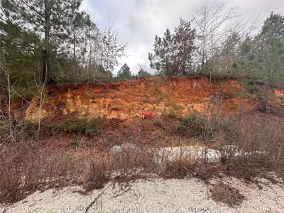 Primary bedroom at LOT 171 / R32192 Keo Kea Ct - Tahitian Village, Bastrop, TX