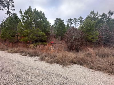 Primary bedroom at LOT 173 / R32210 Keo Kea Ct - Tahitian Village, Bastrop, TX