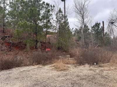 Primary bedroom at LOT 178 / R32255 Keo Kea Ct - Tahitian Village, Bastrop, TX