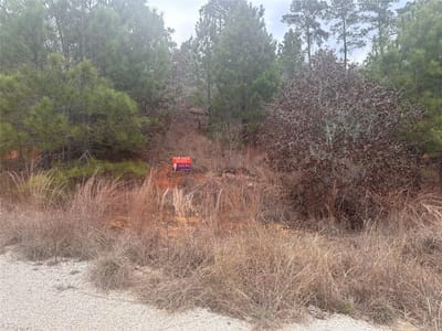 Primary bedroom at LOT 183 / R32300 Keo Kea Ct - Tahitian Village, Bastrop, TX