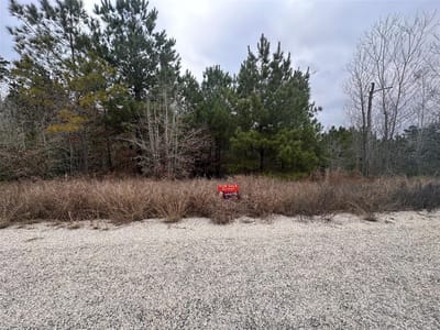 Primary bedroom at LOT 186 / R32327 Keo Kea Ct - Tahitian Village, Bastrop, TX